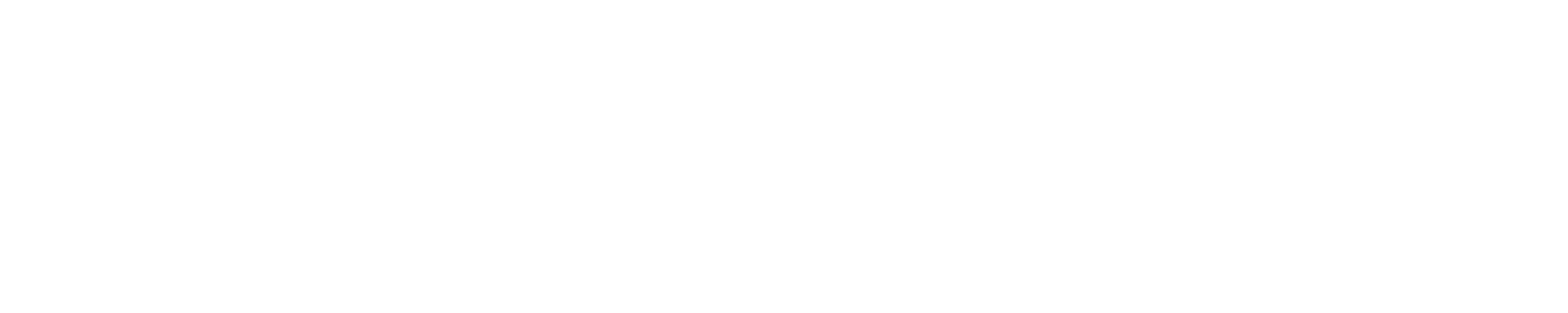 ELZ_1-play_logo_white